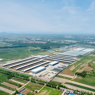 टिकाऊ सतह उपचार और लंबी सेवा जीवन के साथ पूर्वनिर्मित स्टील संरचना मॉड्यूलर गाय फार्म शेड स्टील बिल्डिंग