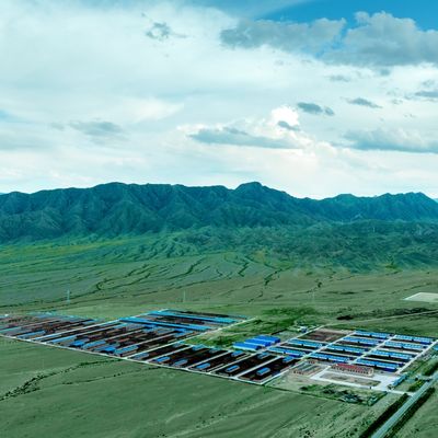 डेयरी बीफ मवेशियों के लिए गैल्वेनाइज्ड स्टील काउ शेड 20+ वर्ष जीवनकाल