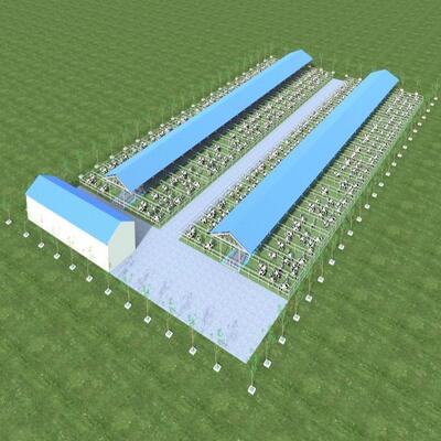 डिजाइन आपूर्ति आधुनिक स्टील संरचना डेयरी फार्म शेड मेटल कैटल शेड वेंटिलेशन सिस्टम के साथ