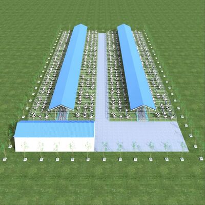 डिजाइन आपूर्ति आधुनिक स्टील संरचना डेयरी फार्म शेड मेटल कैटल शेड वेंटिलेशन सिस्टम के साथ