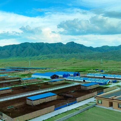 विस्तार योग्य इस्पात संरचना पशुपालन के लिए मवेशियों का शेड